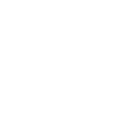 skill set icon